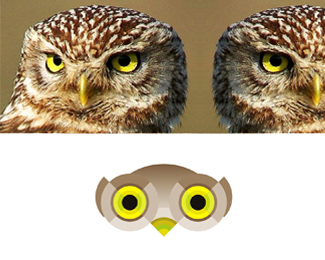owls eyes logo design symbol by alex tass